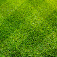 Lawn Care Isleworth